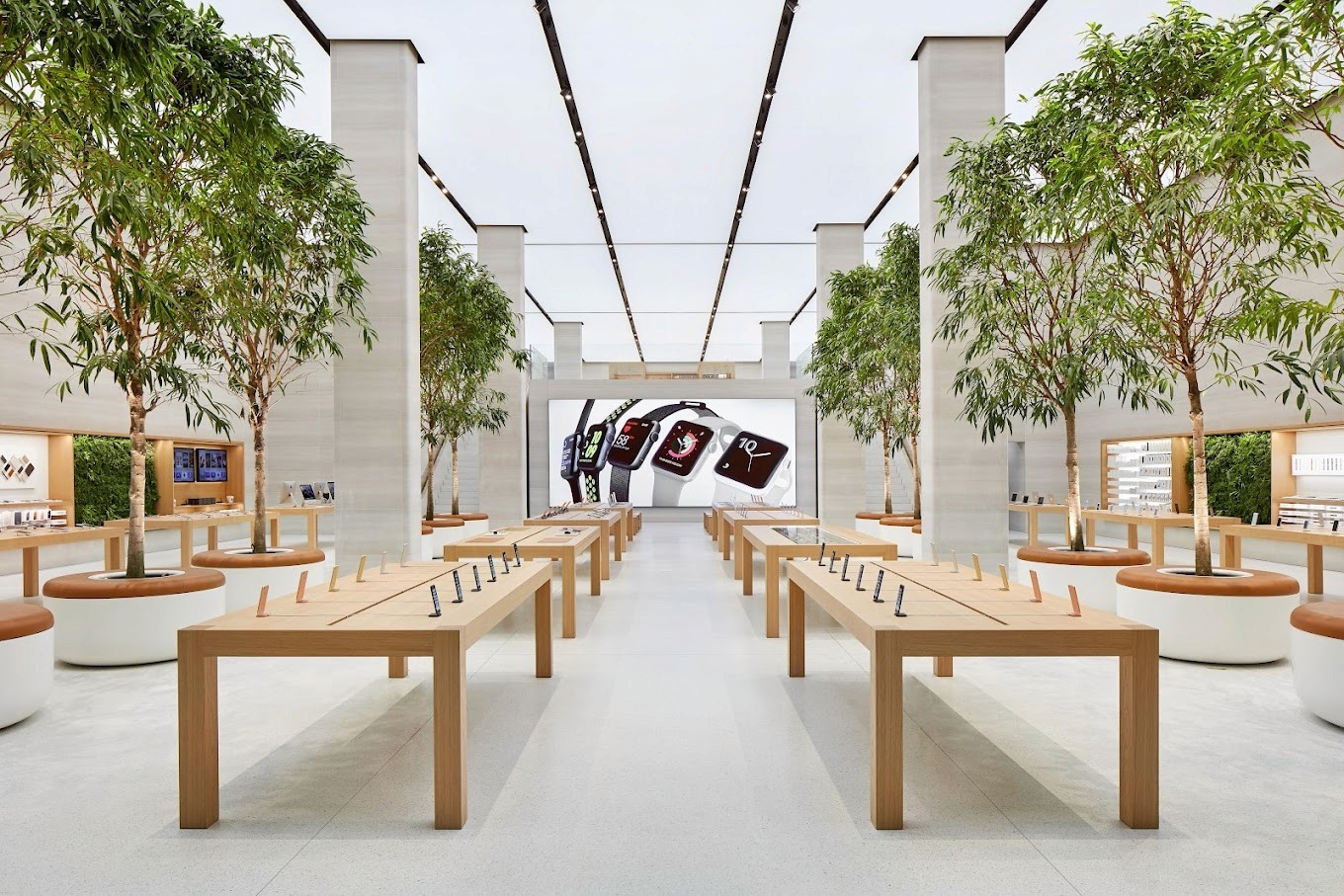 Apple Store